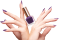decor hero